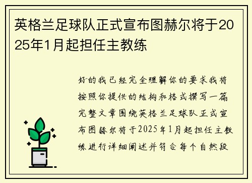英格兰足球队正式宣布图赫尔将于2025年1月起担任主教练